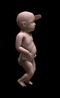 baby4.gif (69617 bytes)