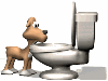 dogdrinking_sm_wht.gif (7399 bytes)